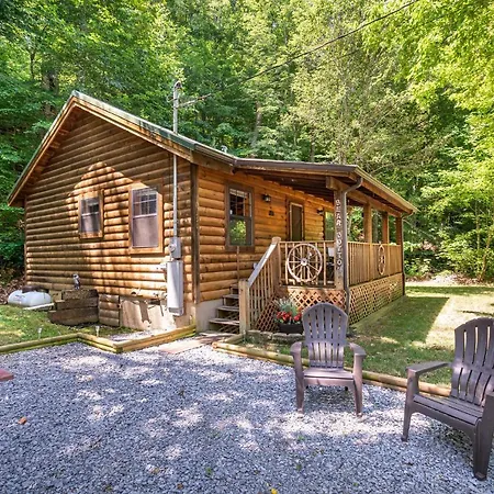 Mosey Bear, Hot Tub, Wifi, 1089 Free Tickets Each Paid Day, Dollywood And More